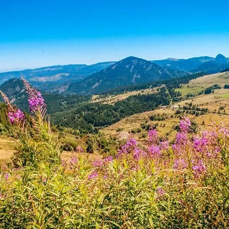 Maison Charmante Avec Vue Sur Montagne Pres D'yssingeaux * Yssingeaux